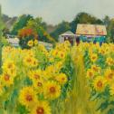 Jeff A. Evans: ‟Sea of Sunflowers” 