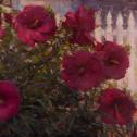 Palden Hamilton: ‟Marshmallow Blooms” 