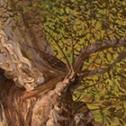 Nikolay Mikushkin: ‟Old Tree” 