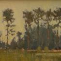 Crista Pisano: ‟Loblolly Pines” Honorable Mention - 2015 ($150)